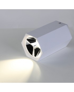 Накладной светильник Favourite 2397-1U-foto2