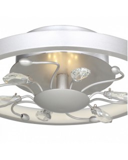 Накладной светильник Favourite 2523-2C-foto3