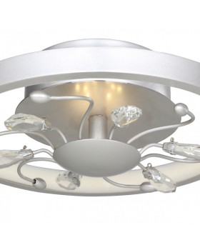 Накладной светильник Favourite 2523-2C-foto3