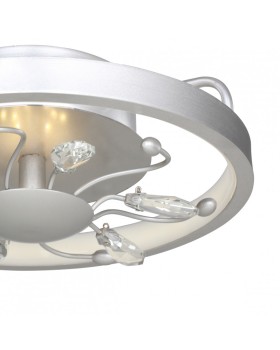 Накладной светильник Favourite 2523-2C-foto4