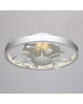 Накладной светильник Favourite 2523-2C-foto6