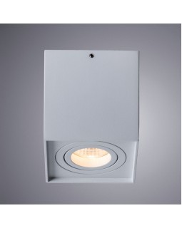 Накладной светильник ARTE Lamp A5544PL-1WH-foto2