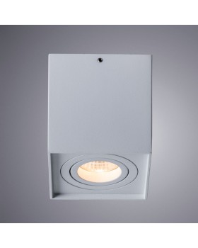 Накладной светильник ARTE Lamp A5544PL-1WH-foto2