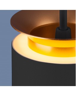 Подвесной светильник Elektrostandard DLS021 9+4W 4200К черный матовый/золото-foto4