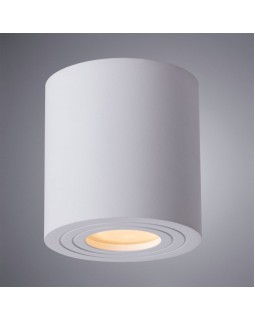 Накладной светильник ARTE Lamp A1460PL-1WH-foto2