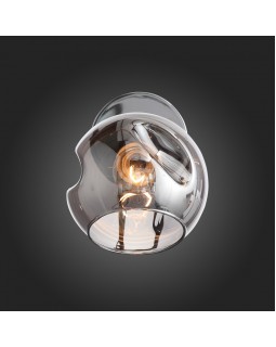 Бра Evoluce SLE155101-01-foto3