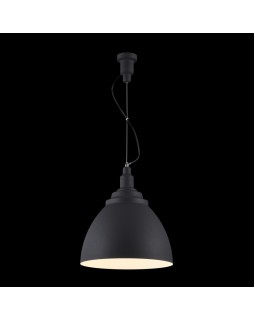 Подвесной светильник Maytoni P535PL-01B-foto2