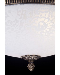 Накладной светильник Maytoni C908-CL-04-R-foto4