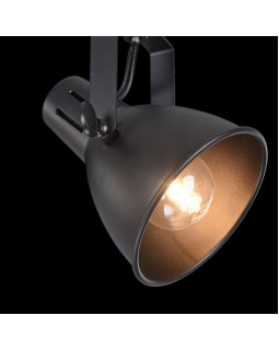 Спот Freya FR4276-CW-03-B-foto6
