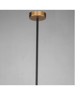 Подвесной светильник Favourite 2624-1P-foto4