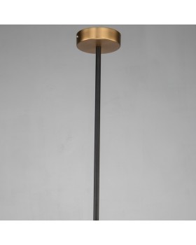 Подвесной светильник Favourite 2624-1P-foto4