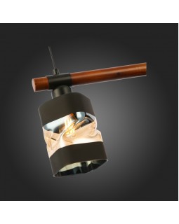 Подвесная люстра Evoluce SLE114403-03-foto4