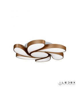 Накладная люстра iLedex iLedex Flower 72W GL-foto2