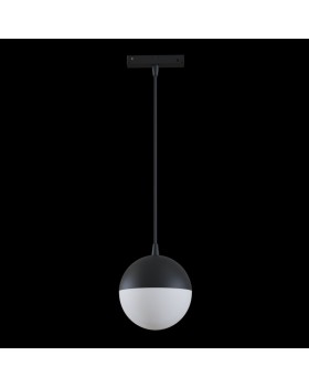 Светильник на шине Maytoni Technical TR018-2-10W3K-B-foto2