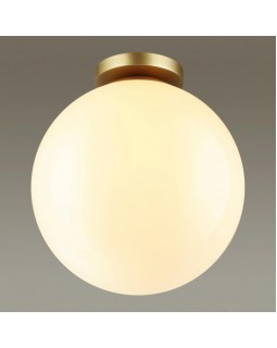 Накладной светильник Odeon Light 4249/1C-foto4