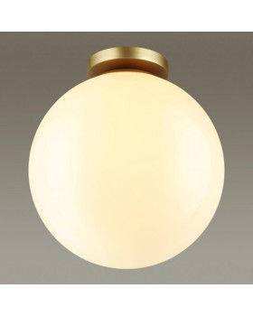 Накладной светильник Odeon Light 4249/1C-foto4