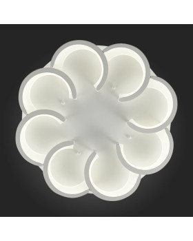 Люстра на штанге Evoluce SLE200502-08-foto6