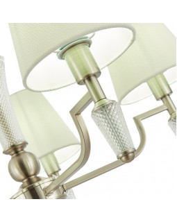 Подвесная люстра Evoluce SLE105503-05-foto4