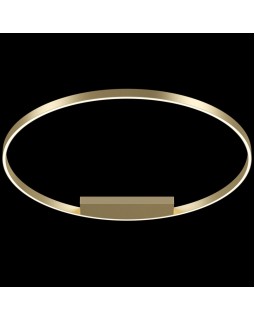 Накладной светильник Maytoni MOD058CL-L65BS4K-foto2