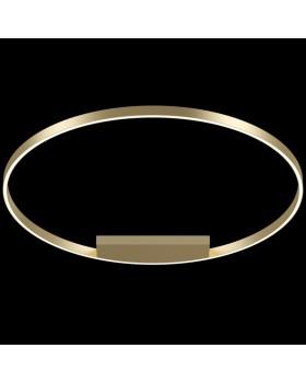 Накладной светильник Maytoni MOD058CL-L65BS4K-foto2