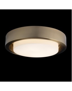 Накладной светильник LOFT IT 10007/36 Copper-foto2