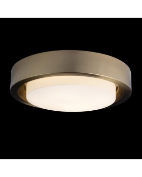 Накладной светильник LOFT IT 10007/36 Copper-foto2