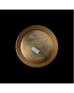 Накладной светильник LOFT IT 10007/36 Copper-foto5