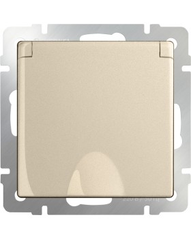 Розетка Werkel W1171211-foto2