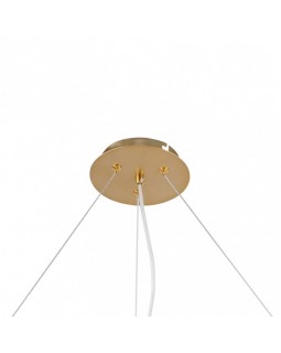 Подвесная люстра F-Promo 2771-12P-foto3