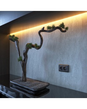 Розетка Werkel W1172004-foto3