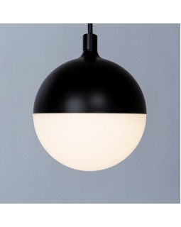 Светильник на шине ARTE Lamp A4564PL-1BK-foto4