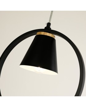 Подвесной светильник F-Promo 2938-1P-foto4