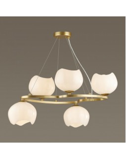 Подвесная люстра Odeon Light 4873/5-foto4