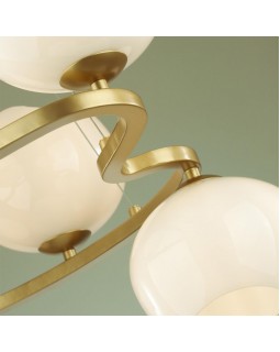 Подвесная люстра Odeon Light 4873/5-foto6