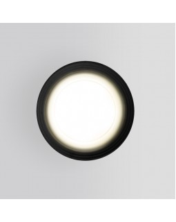 Уличный светильник Elektrostandard Light 2101 (35128/H) черный-foto2
