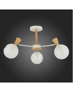 Люстра на штанге Evoluce SLE220702-03-foto8