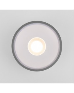 Уличный светильник Elektrostandard Light LED 2135 (35141/H) серый-foto2