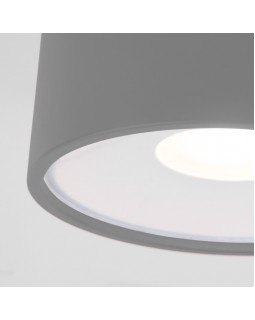 Уличный светильник Elektrostandard Light LED 2135 (35141/H) серый-foto3