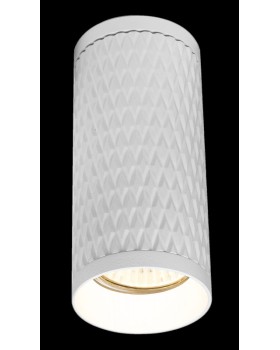 Накладной светильник Maytoni Technical C036CL-01W-foto3