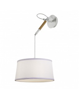 Подвесной светильник F-Promo 3005-1P-foto3