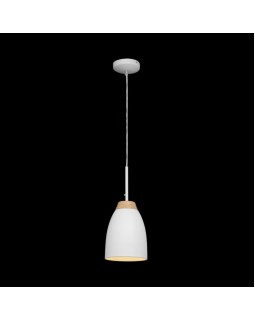 Подвесной светильник LOFT IT LOFT4402A-WH-foto2