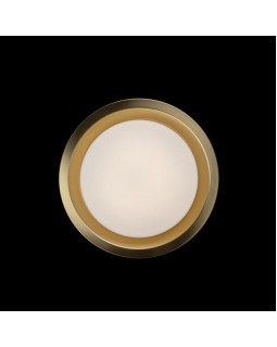 Накладной светильник LOFT IT 10007/18 Copper-foto3