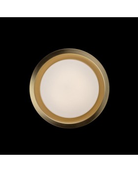 Накладной светильник LOFT IT 10007/18 Copper-foto3