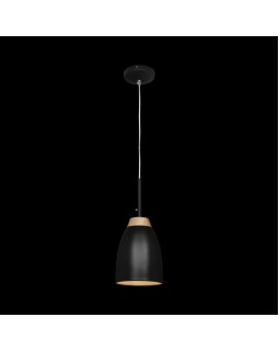 Подвесной светильник LOFT IT LOFT4402A-BL-foto2