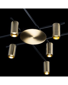 Накладная люстра LOFT IT 8120C-10-foto4