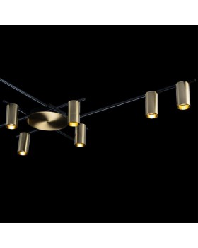 Накладная люстра LOFT IT 8120C-10-foto6