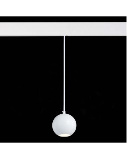 Светильник на шине ST-Luce ST354.543.12-foto4