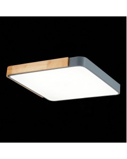 Накладной светильник Evoluce SLE201272-01-foto5