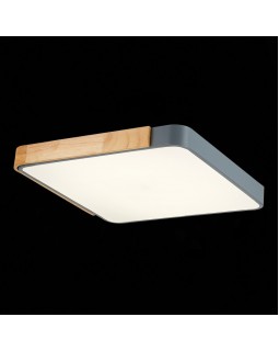 Накладной светильник Evoluce SLE201272-01-foto6