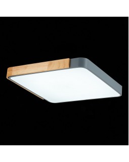 Накладной светильник Evoluce SLE201272-01-foto7